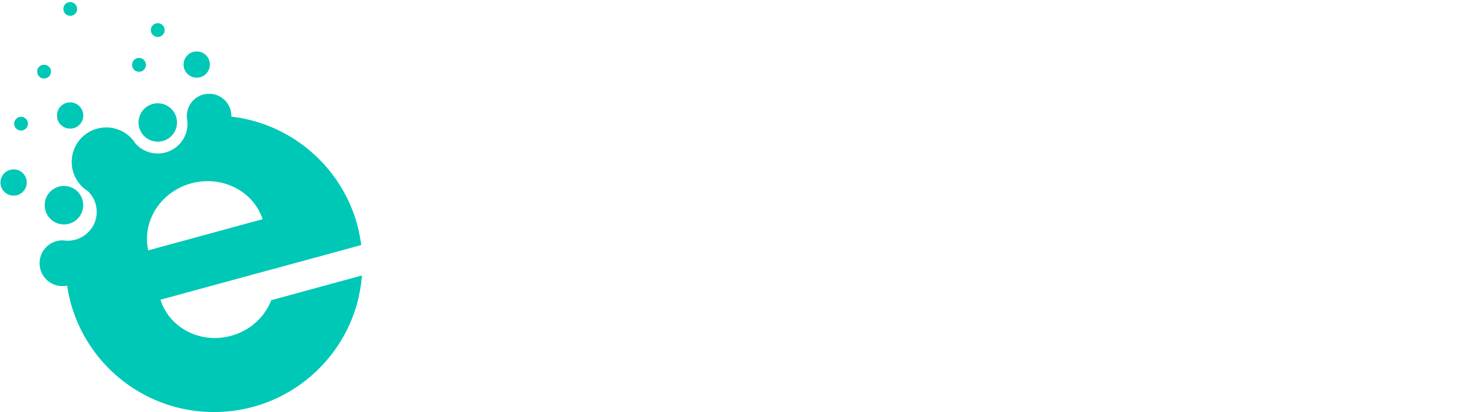e-konsulenten